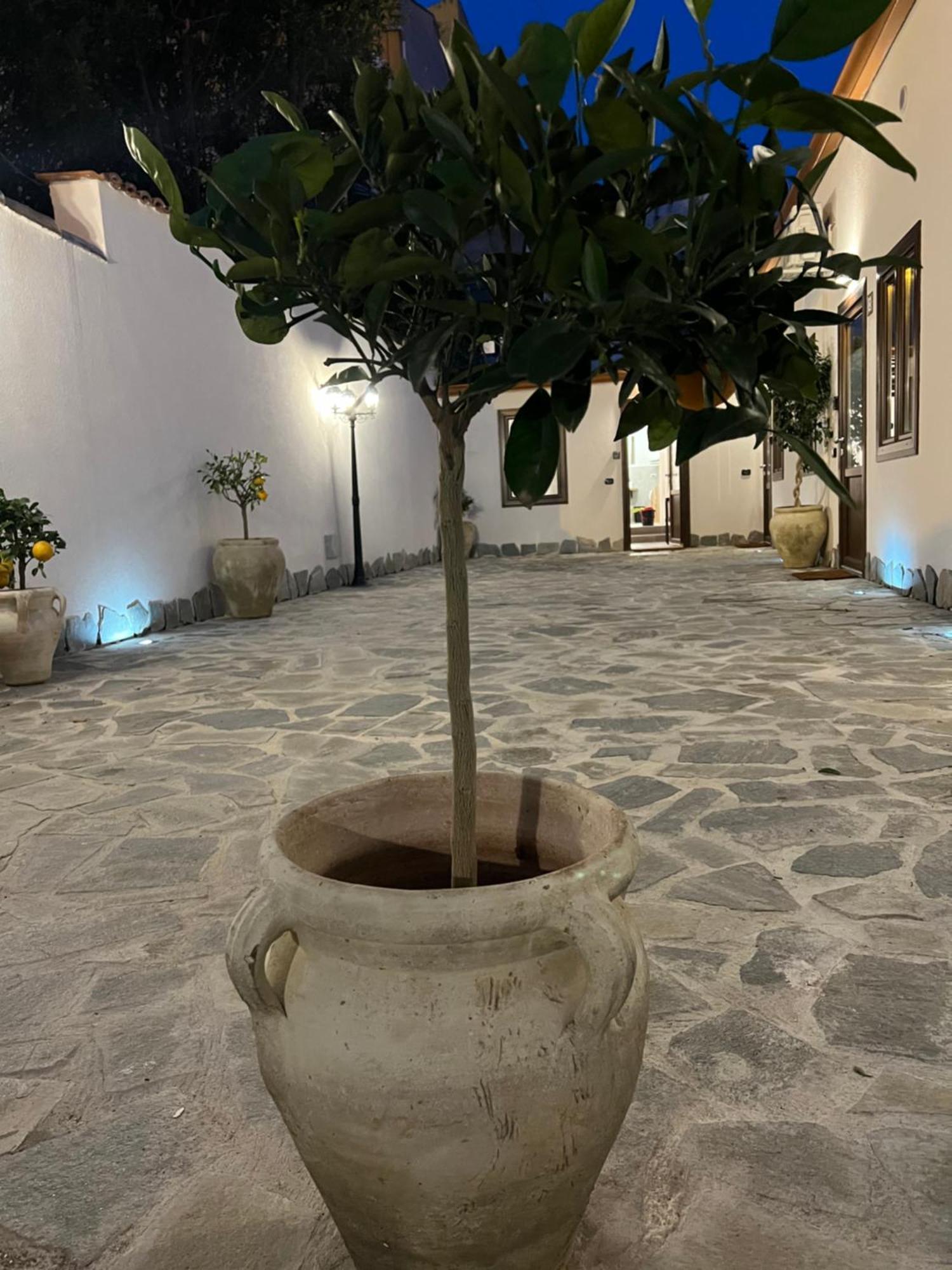 Apartament Cedros Palermo Zewnętrze zdjęcie