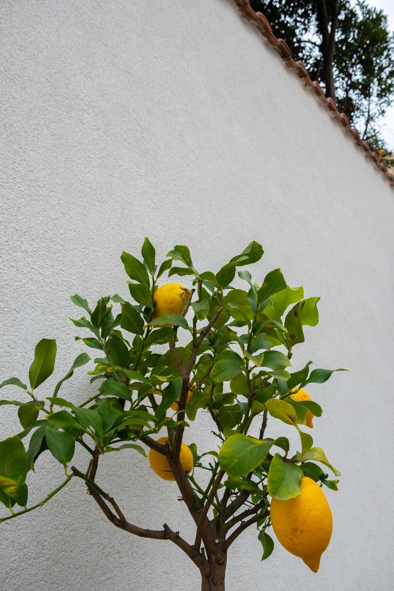 Apartament Cedros Palermo Zewnętrze zdjęcie